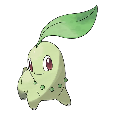 Chikorita