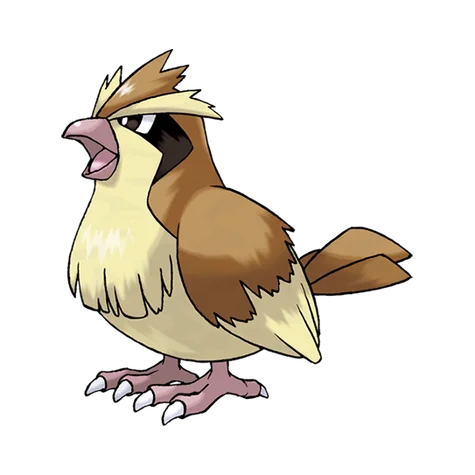 Pidgey