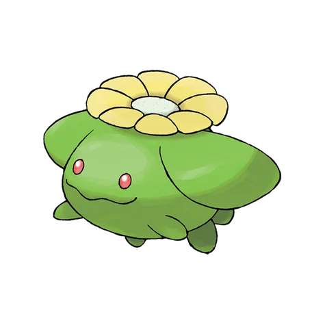 Skiploom