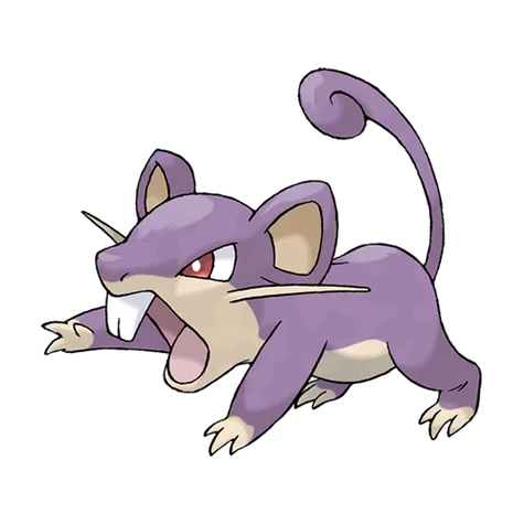 Rattata
