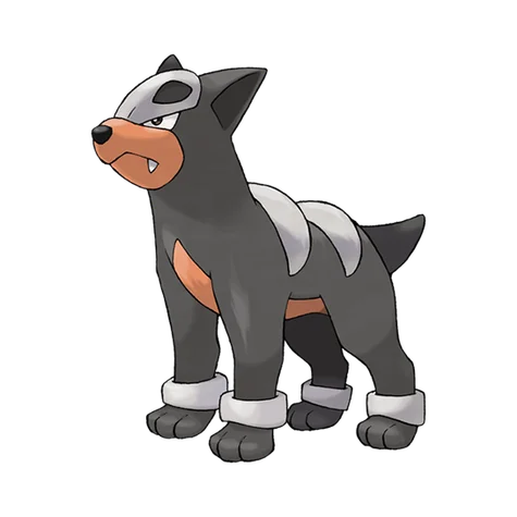 Houndour