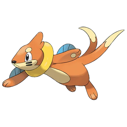 Buizel