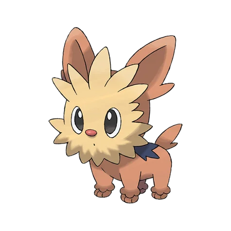 Lillipup