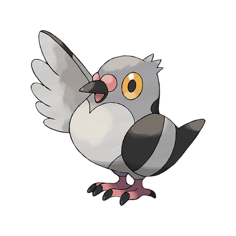 Pidove