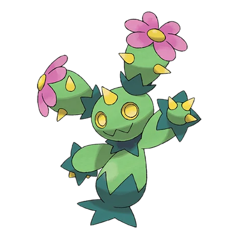 Maractus