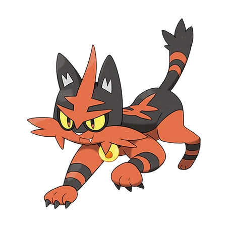 Torracat
