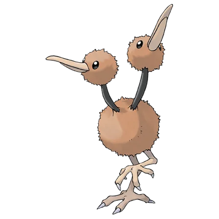 Doduo