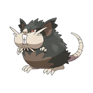 Raticate – Alolský