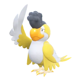 Squawkabilly – Žluté peří